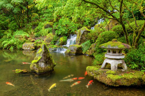 Pond Waterfall Oxford
